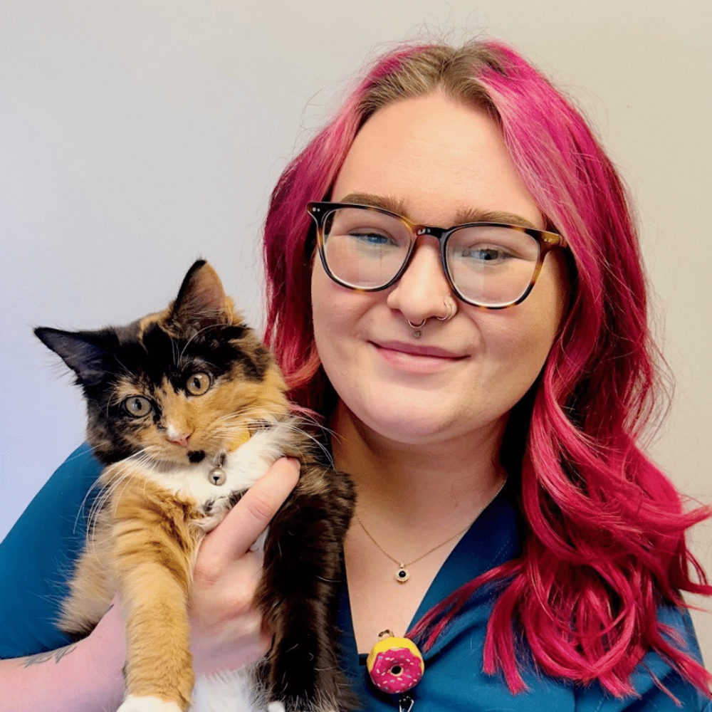 Dr Amy Edwards